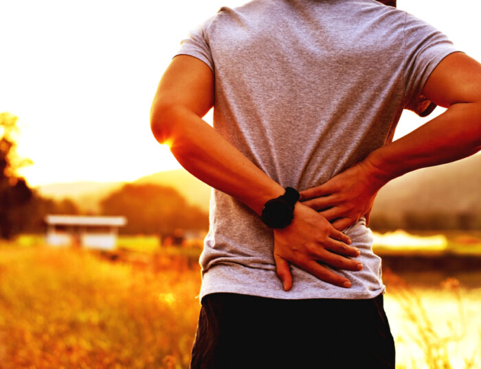 What Organs Can Cause Lower Back Pain