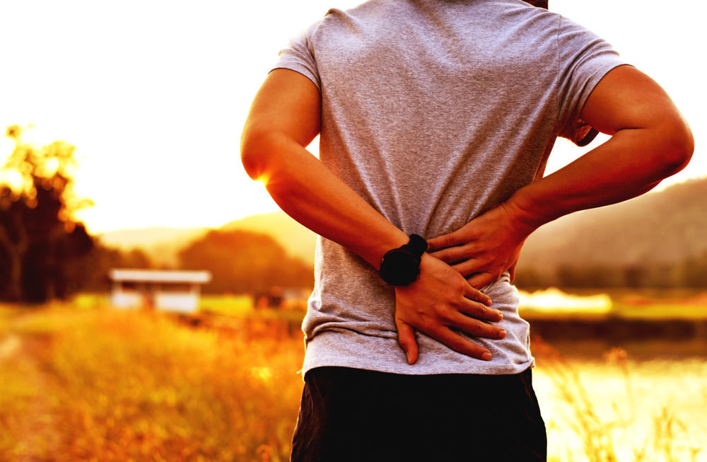 What Organs Can Cause Lower Back Pain