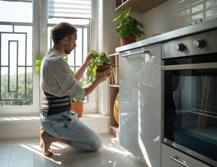 Why Does Spine Decompression Feel So Good