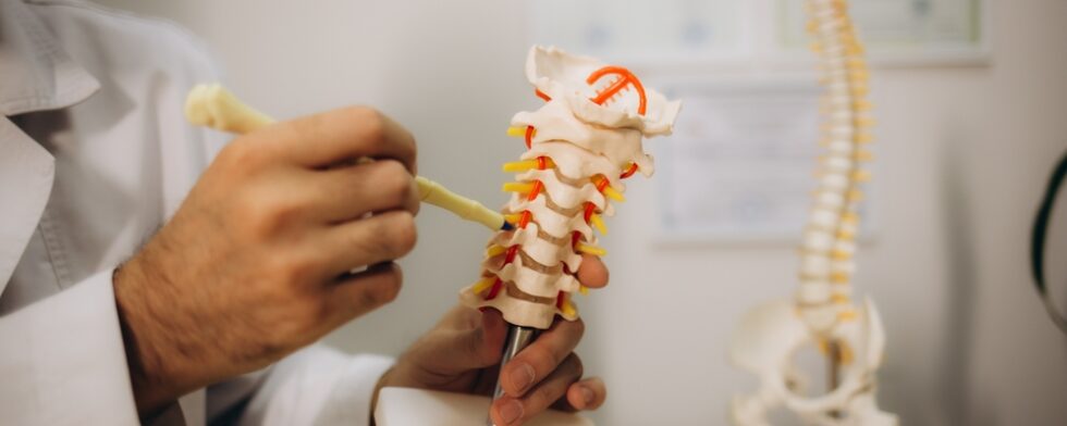 Will My Spine Decompress If I Lose Weight